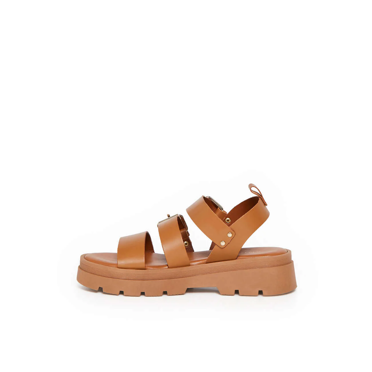 ADONIS CAMEL - Image 4