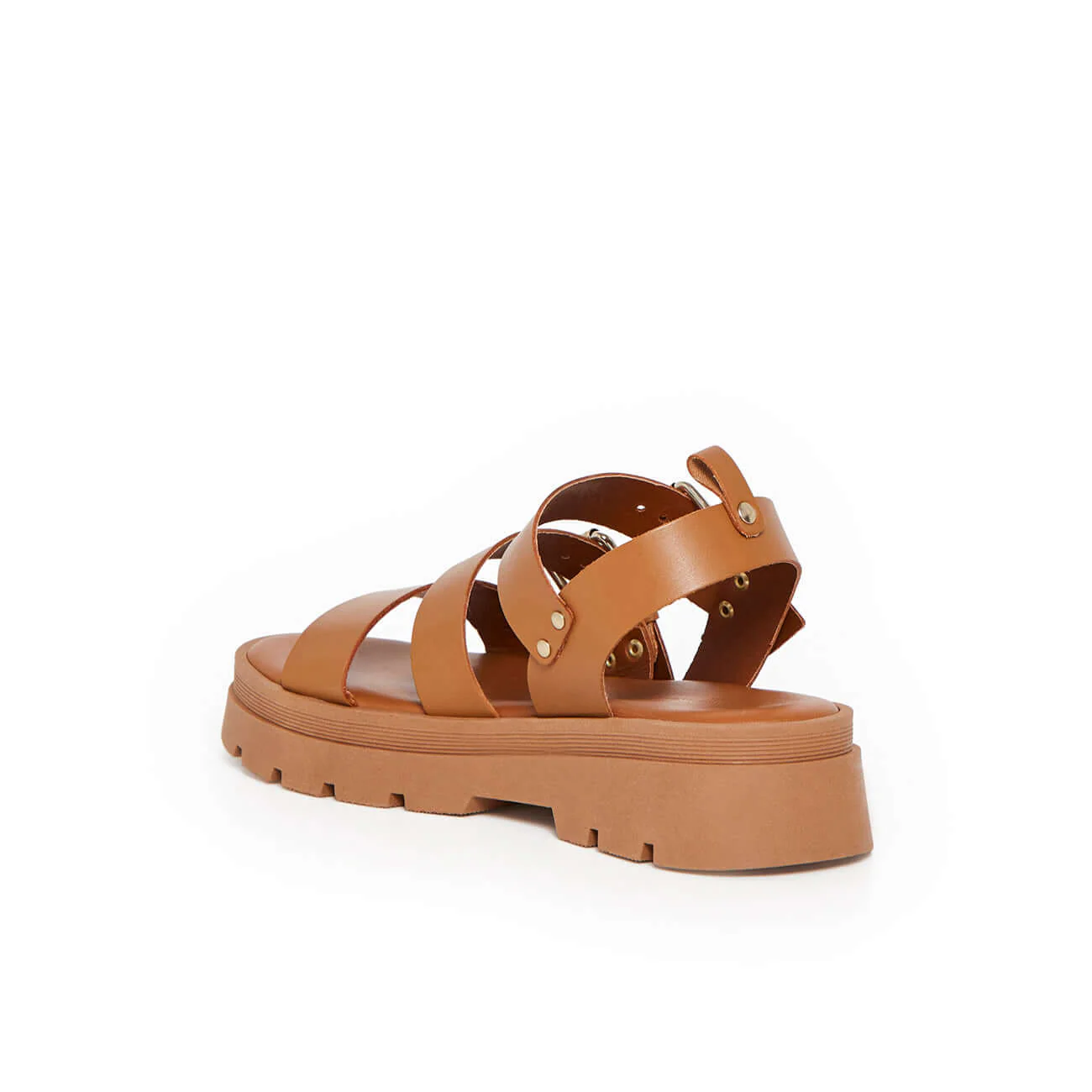 ADONIS CAMEL - Image 5