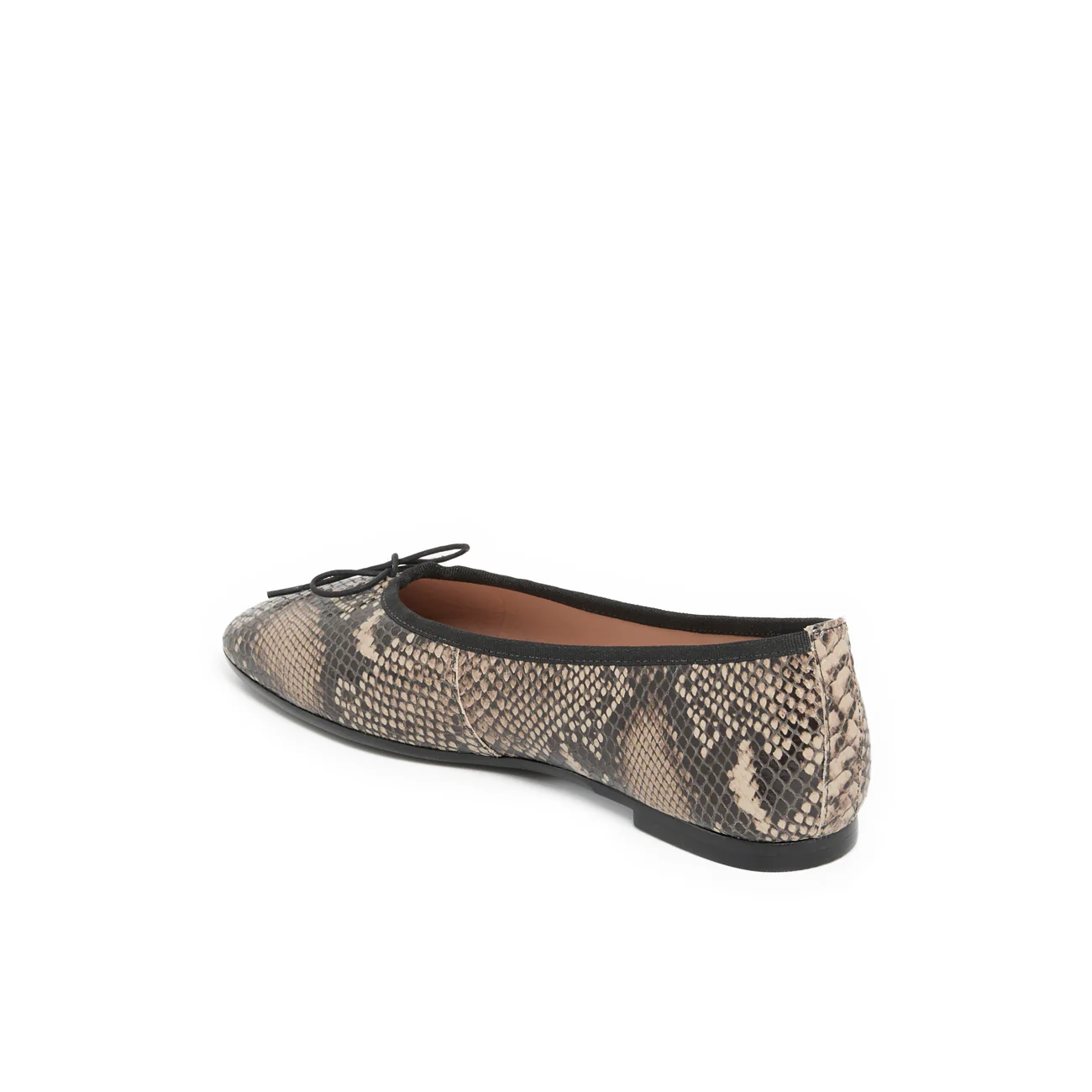 AELIS PYTHON - Image 3