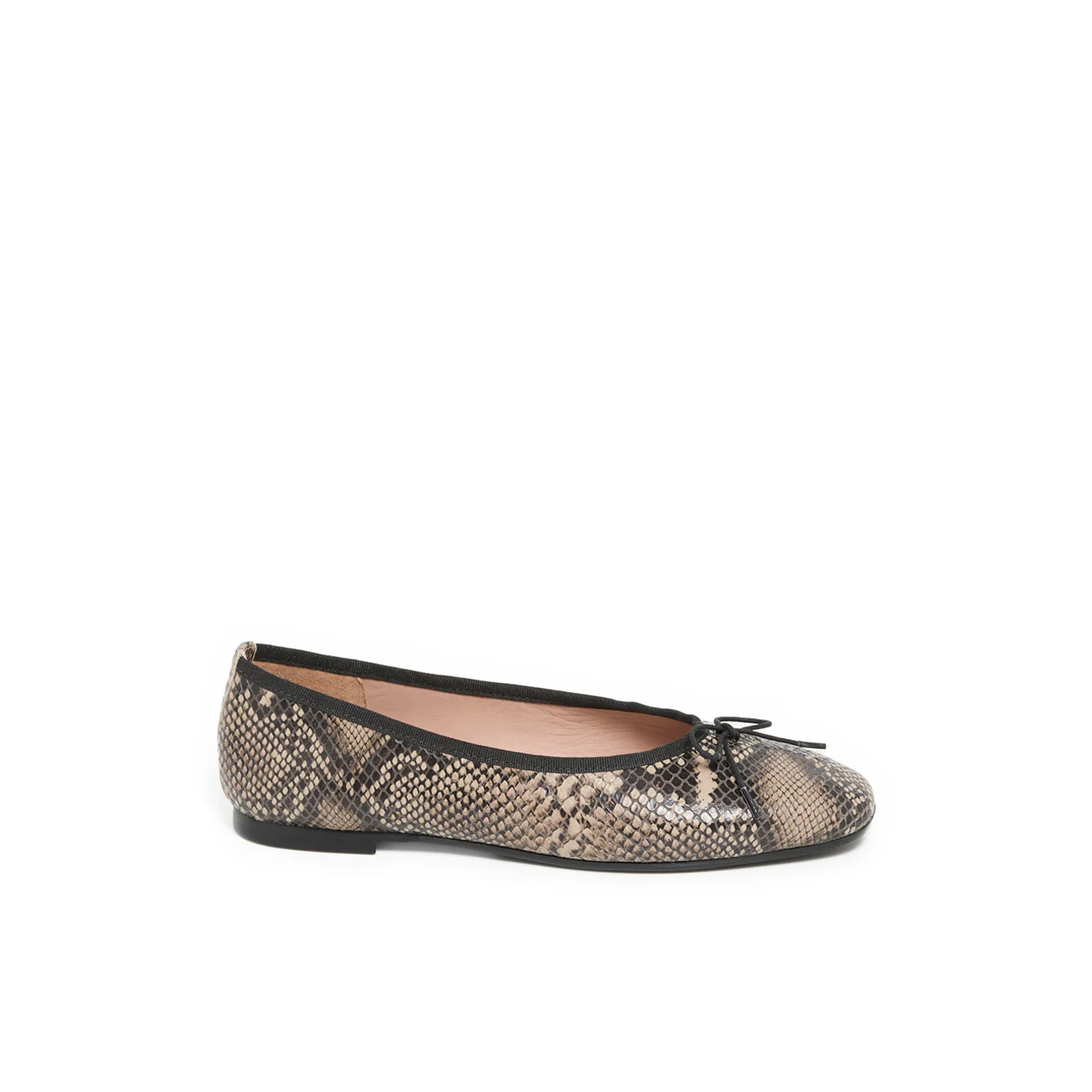 AELIS PYTHON - Image 4