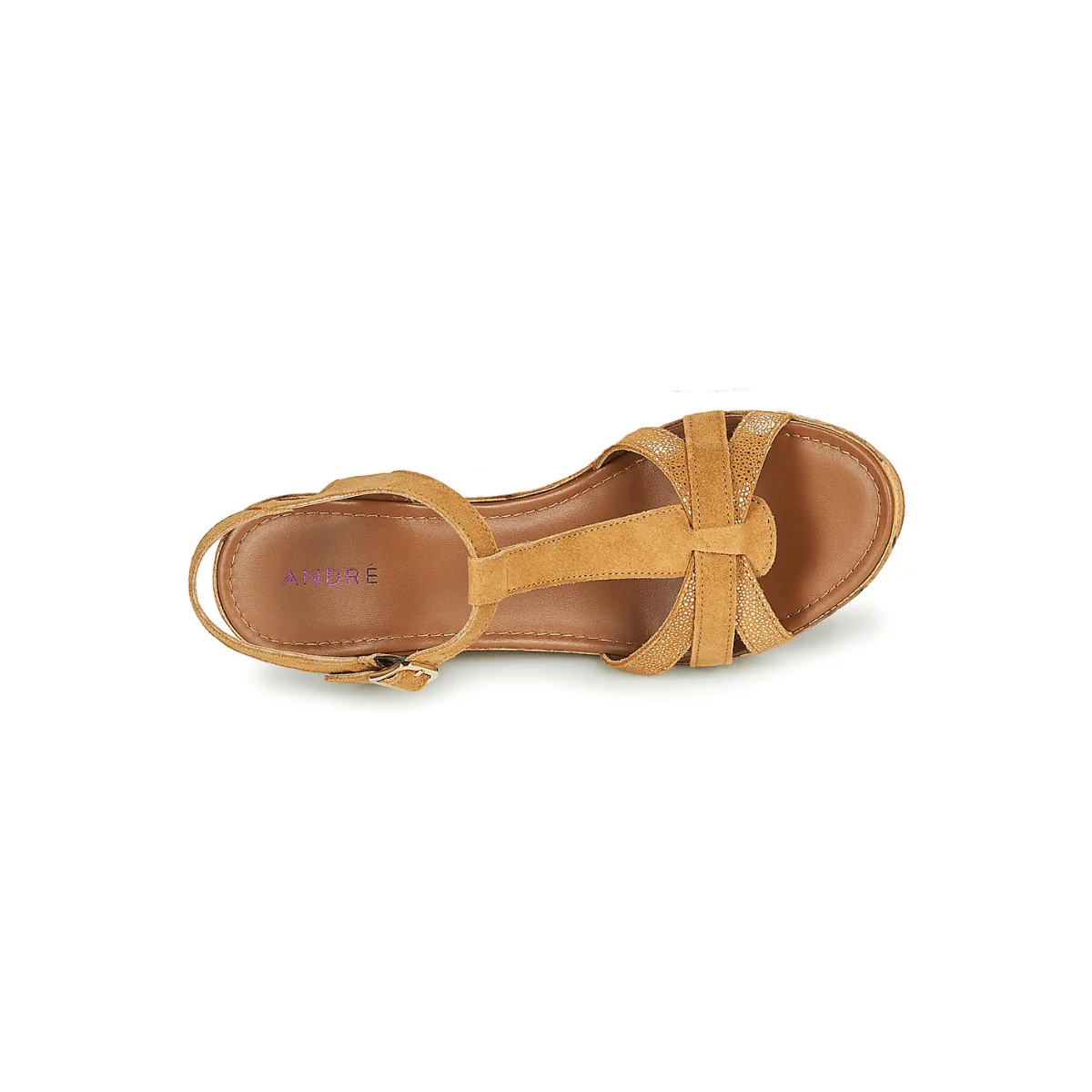 ALOE CAMEL - Image 7