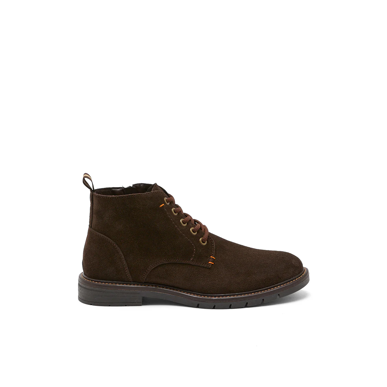 ANGUS MARRON - Image 3