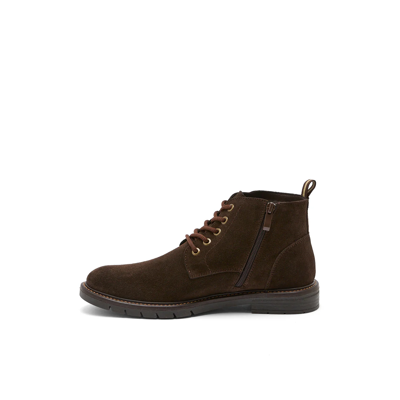 ANGUS MARRON - Image 4