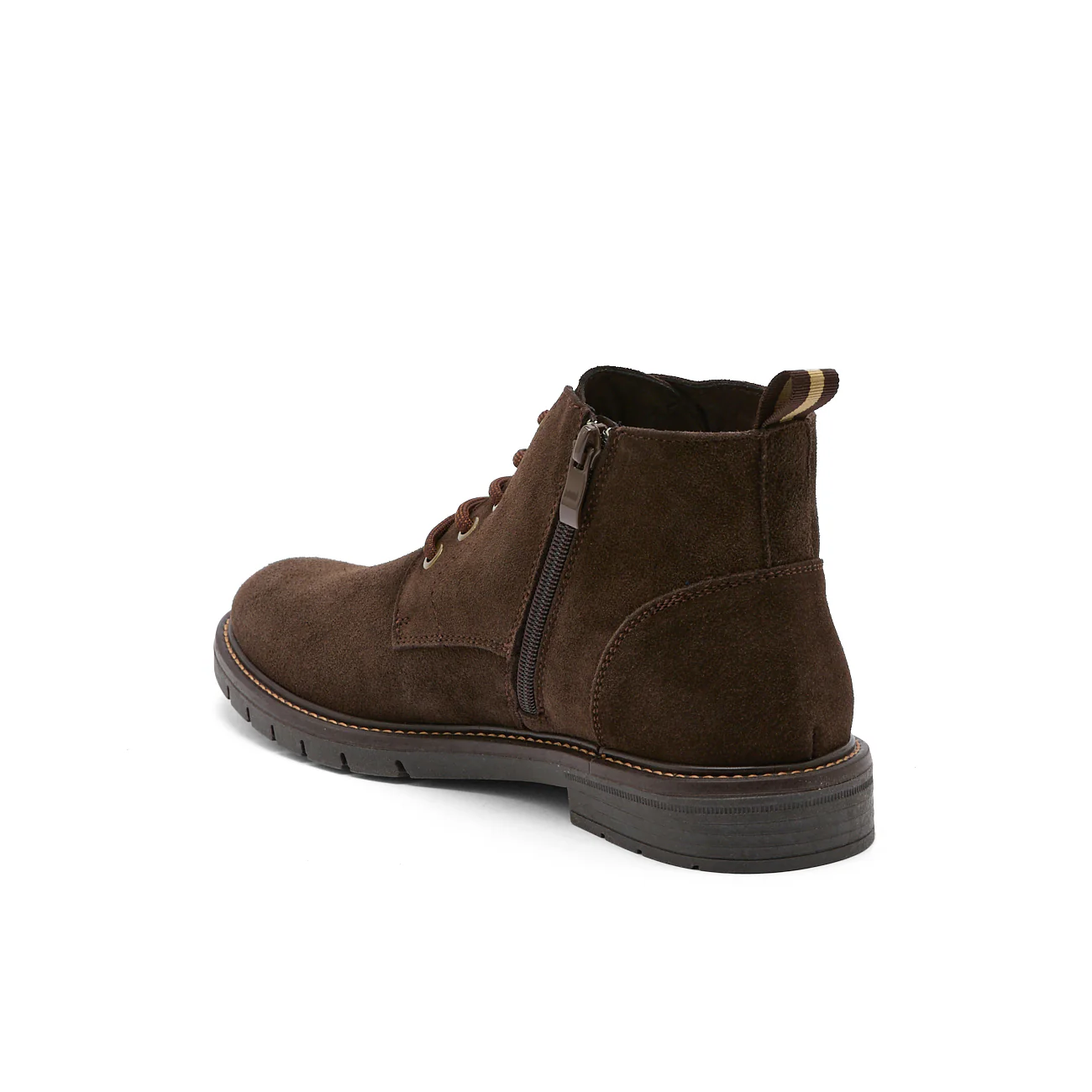 ANGUS MARRON - Image 5