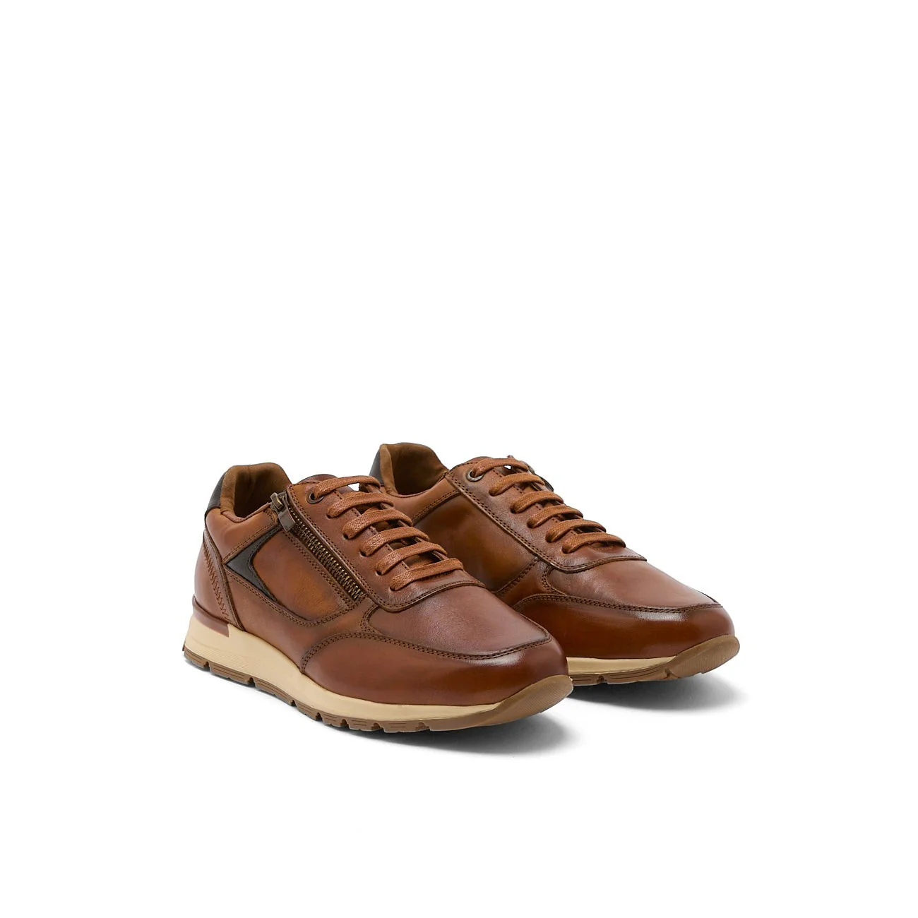 AUXENCE CAMEL - Image 4
