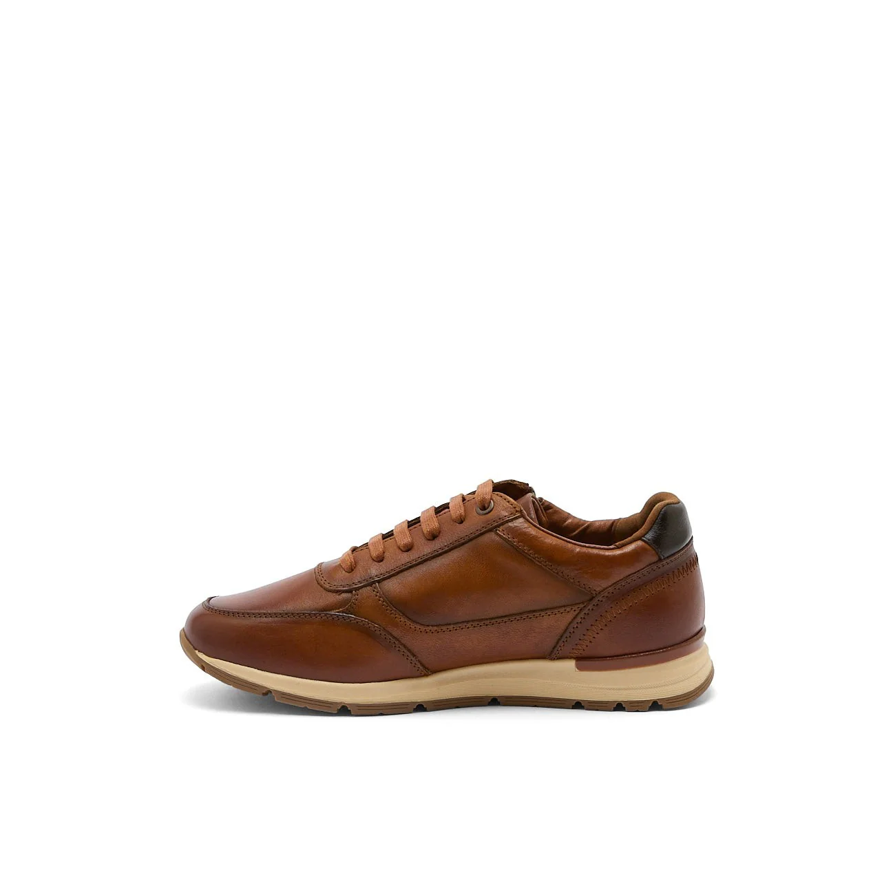 AUXENCE CAMEL - Image 6