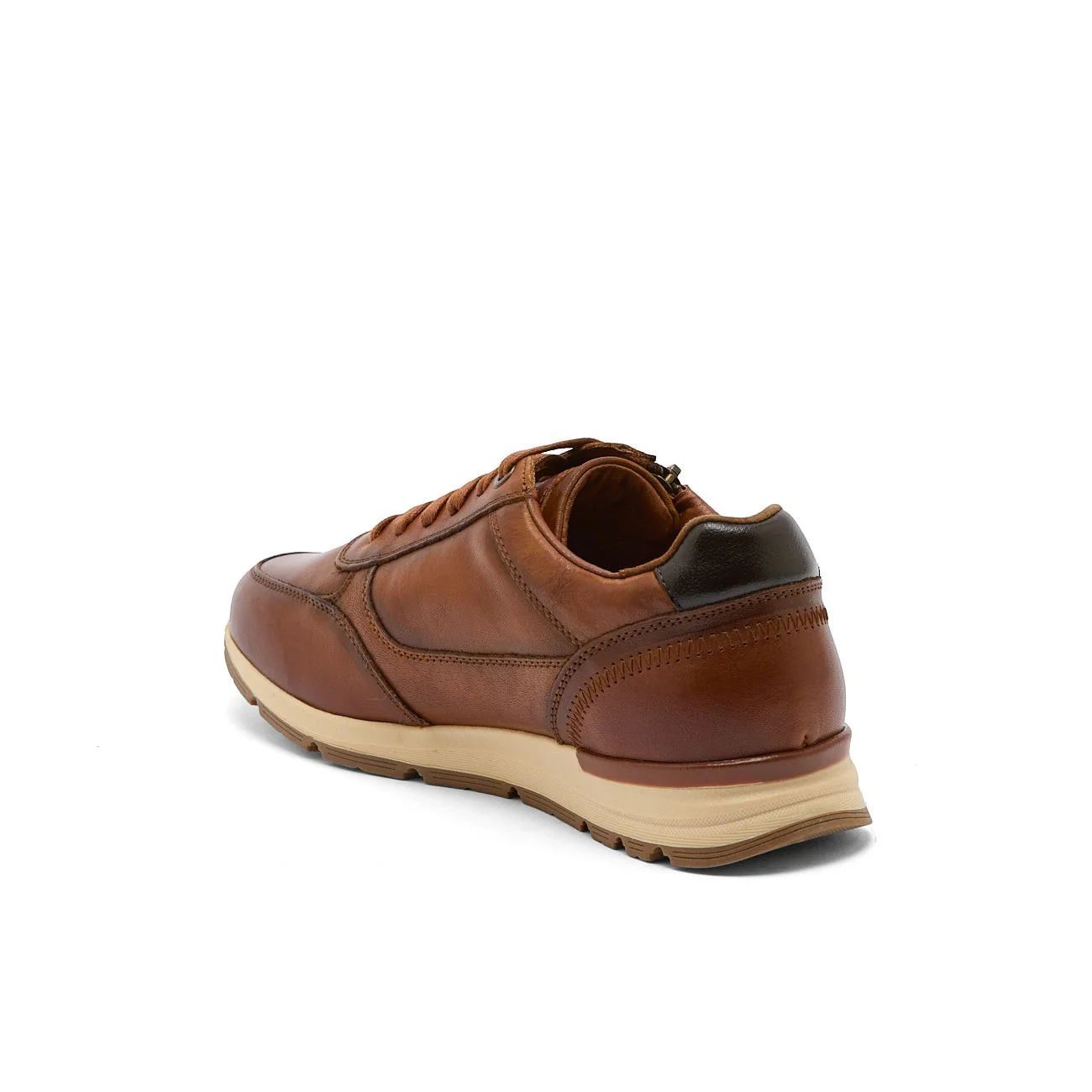 AUXENCE CAMEL - Image 7