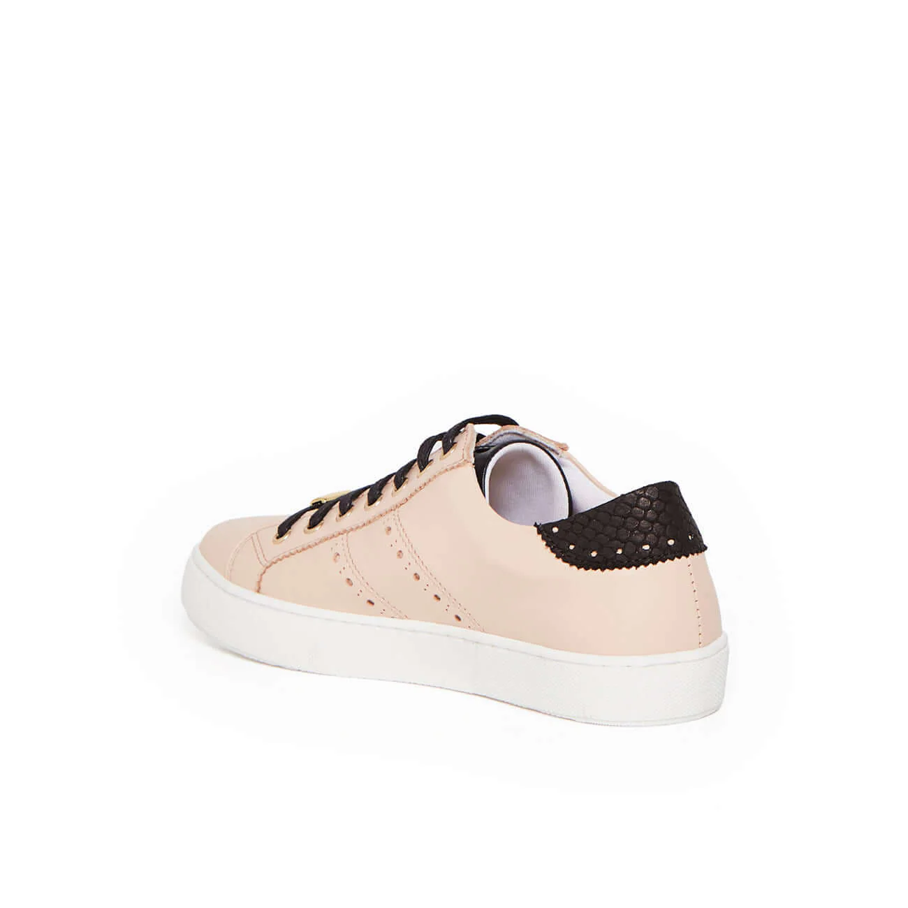 BERKELEY ROSE - Image 5