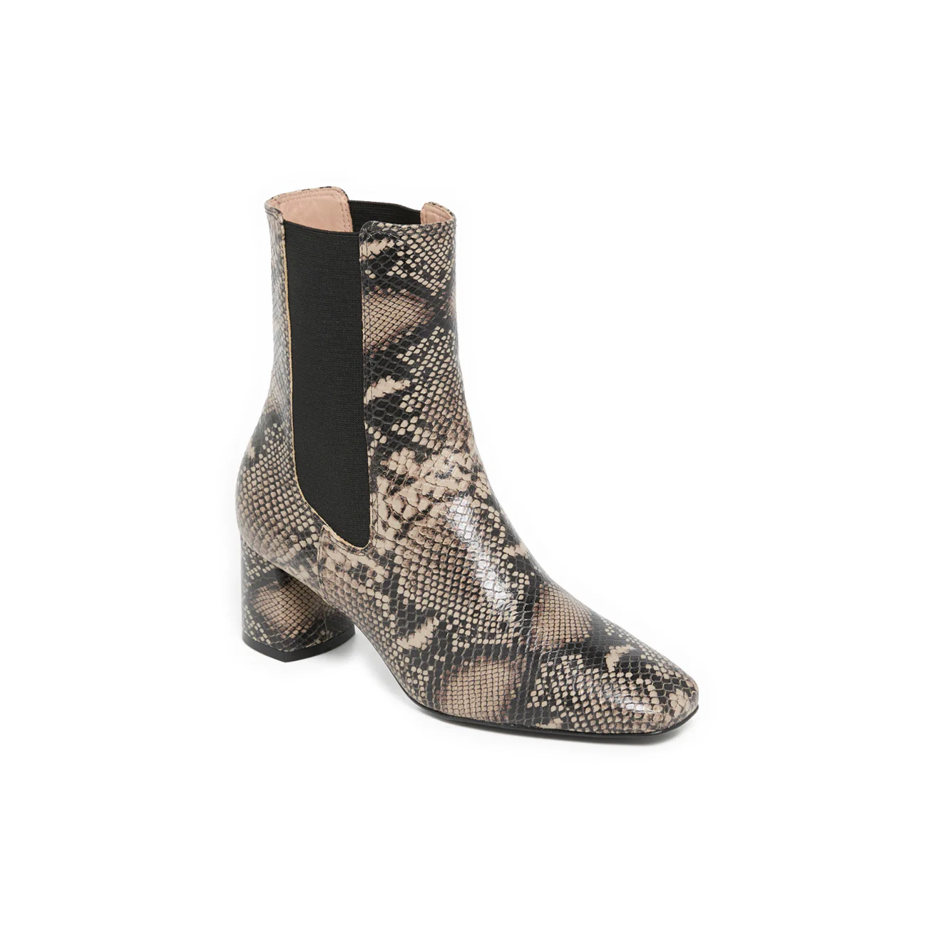 EZIA PYTHON - Image 3