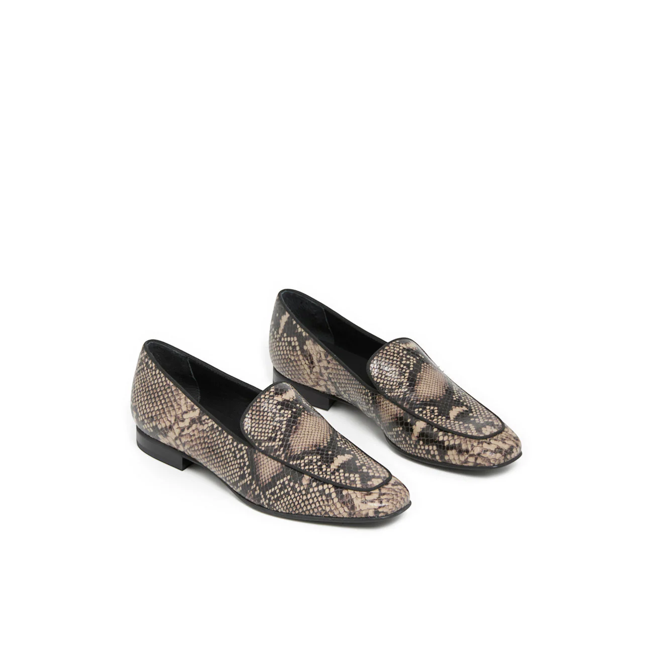 FELICITE PYTHON - Image 4