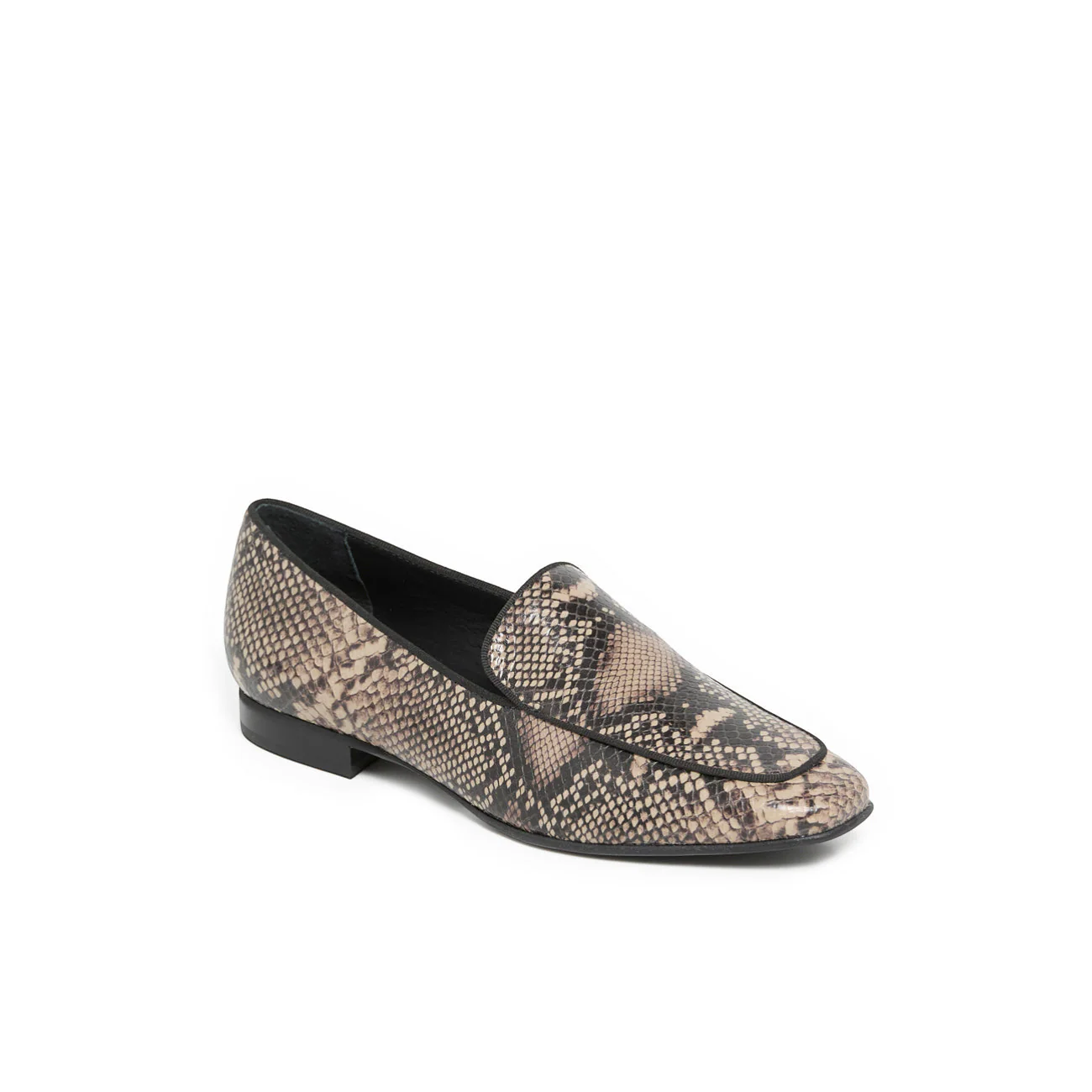 FELICITE PYTHON - Image 5