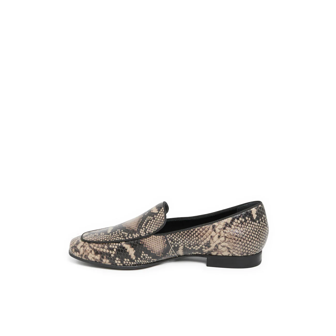 FELICITE PYTHON - Image 6