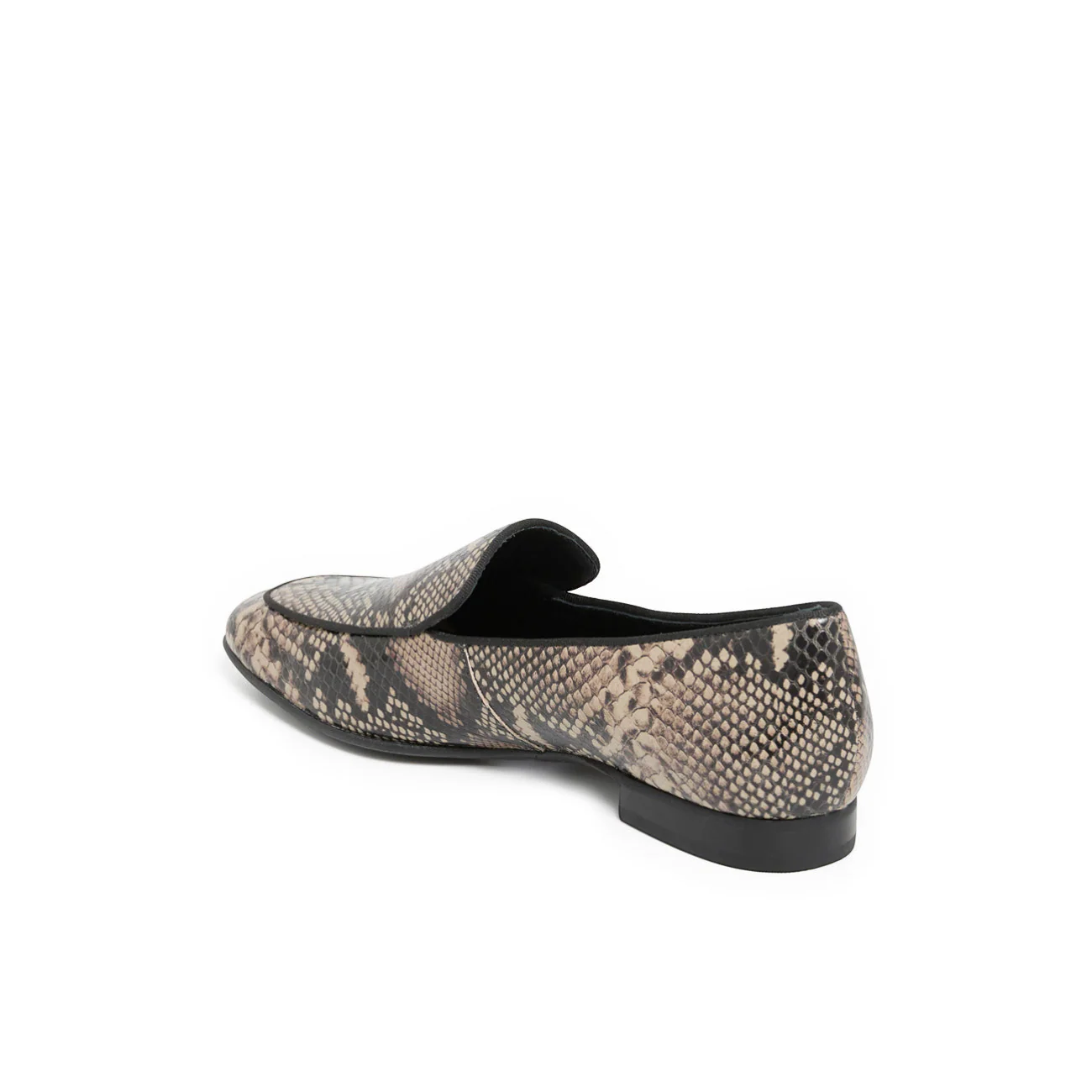 FELICITE PYTHON - Image 7