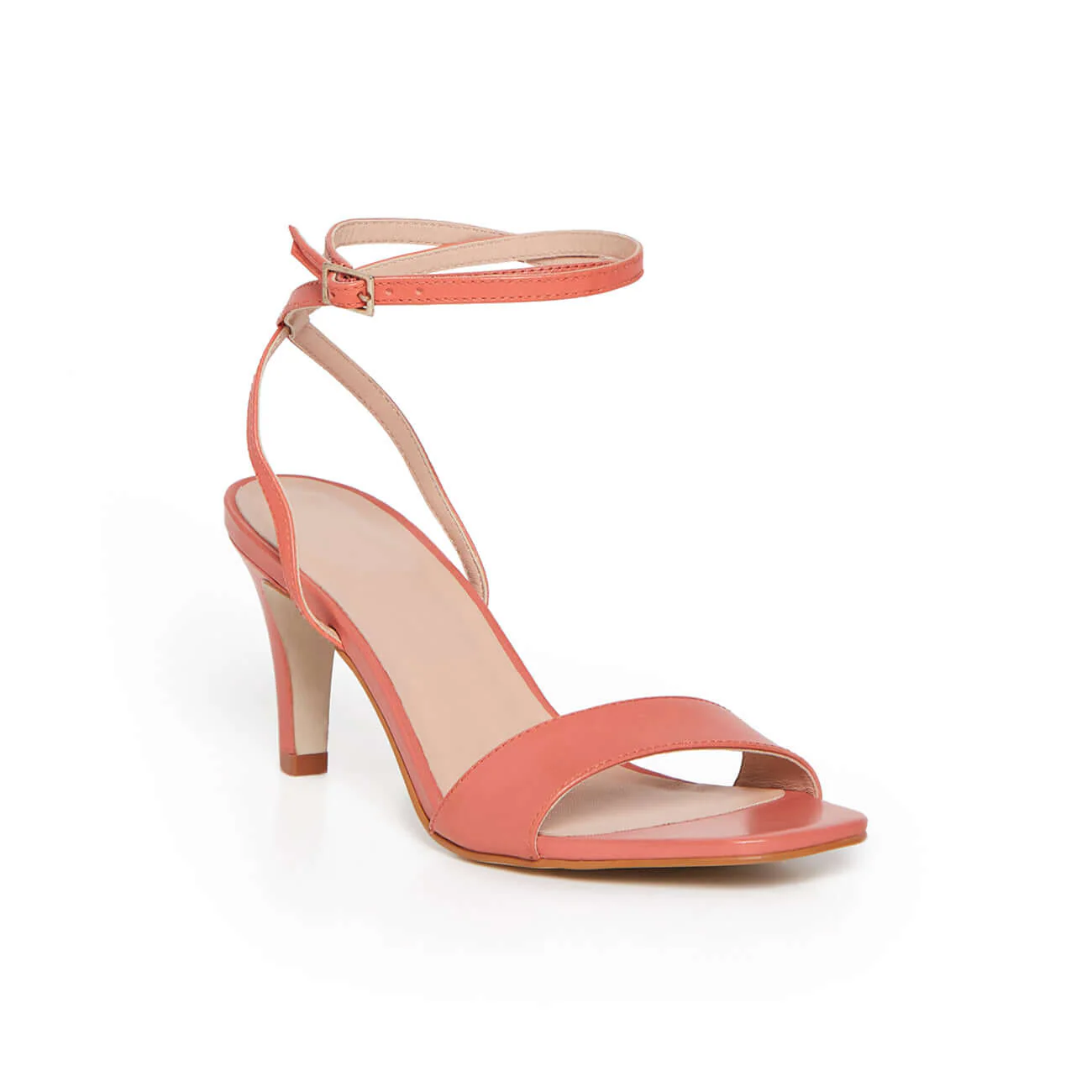 GLYCINE CORAIL - Image 2
