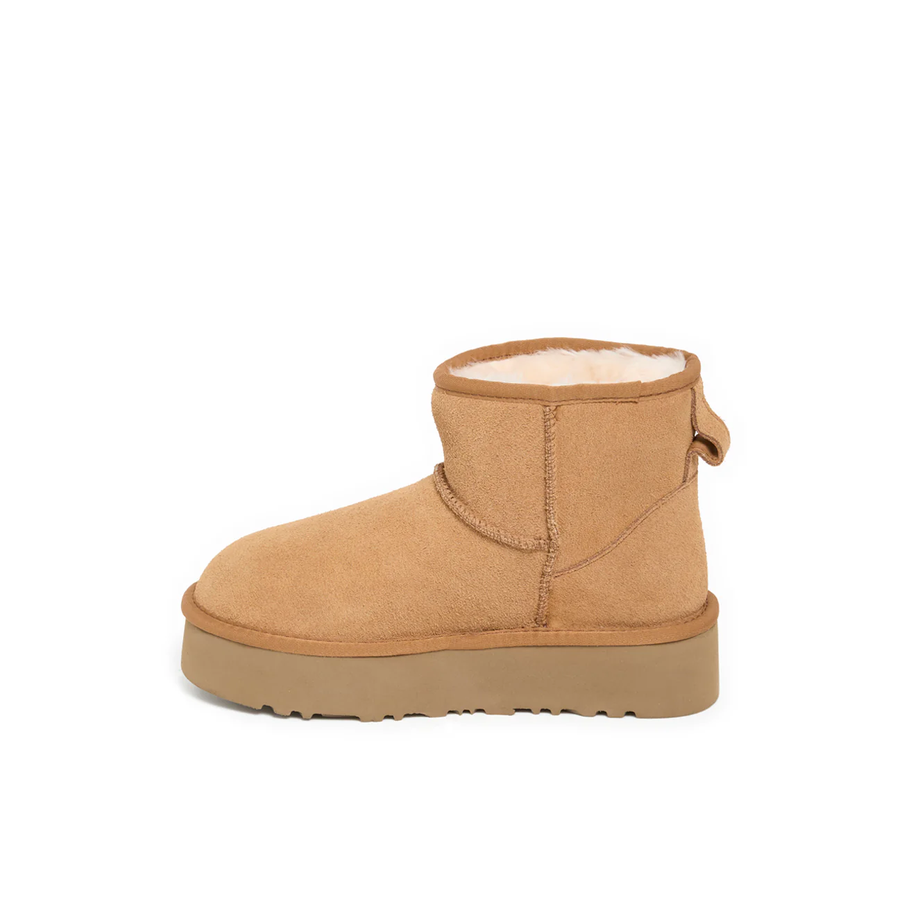 ICY CAMEL - Image 4