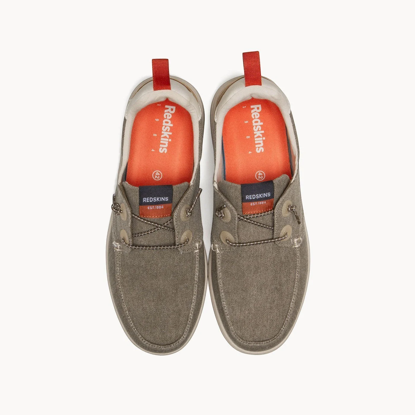 KIBRIS KAKI - Image 7