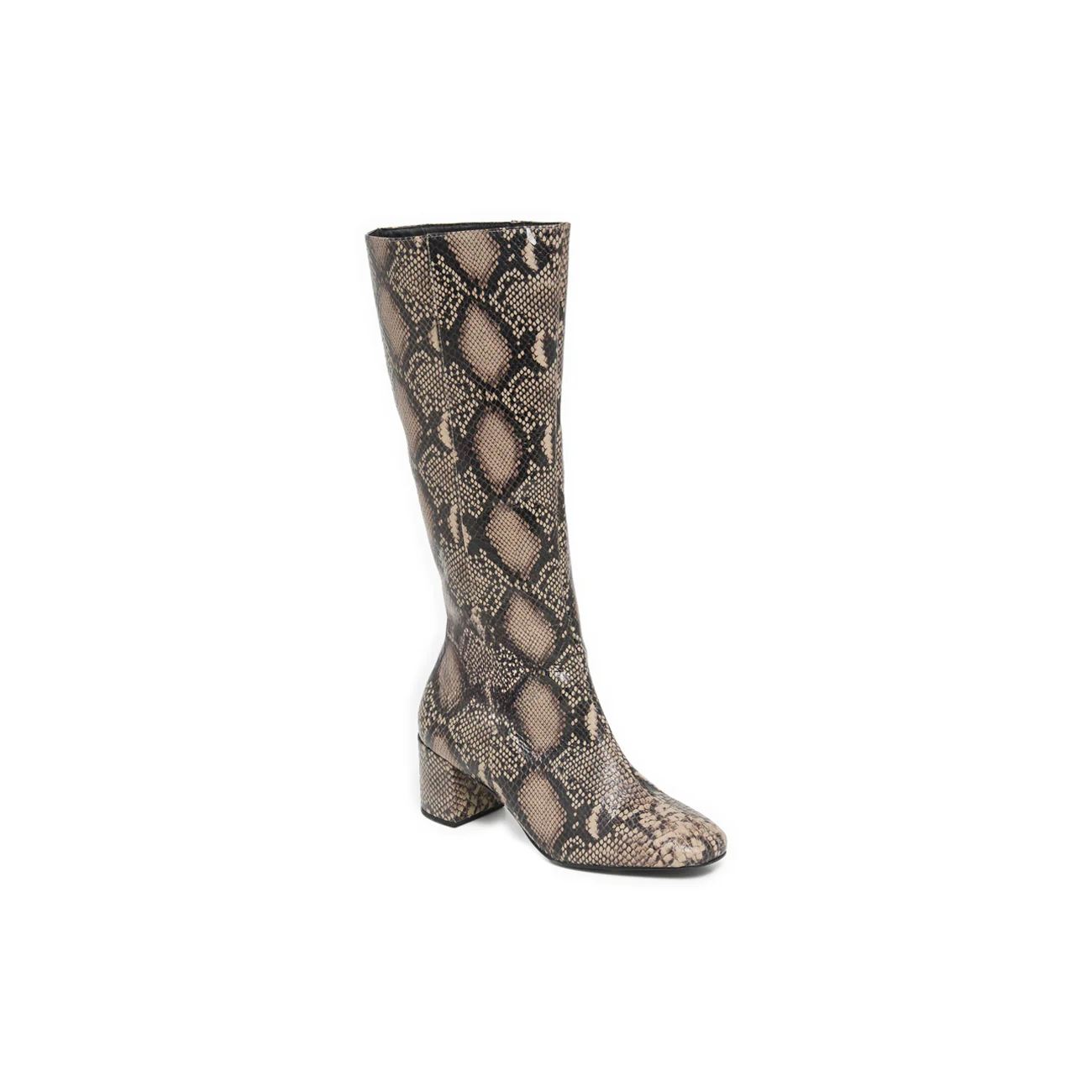 LEZIA PYTHON - Image 3