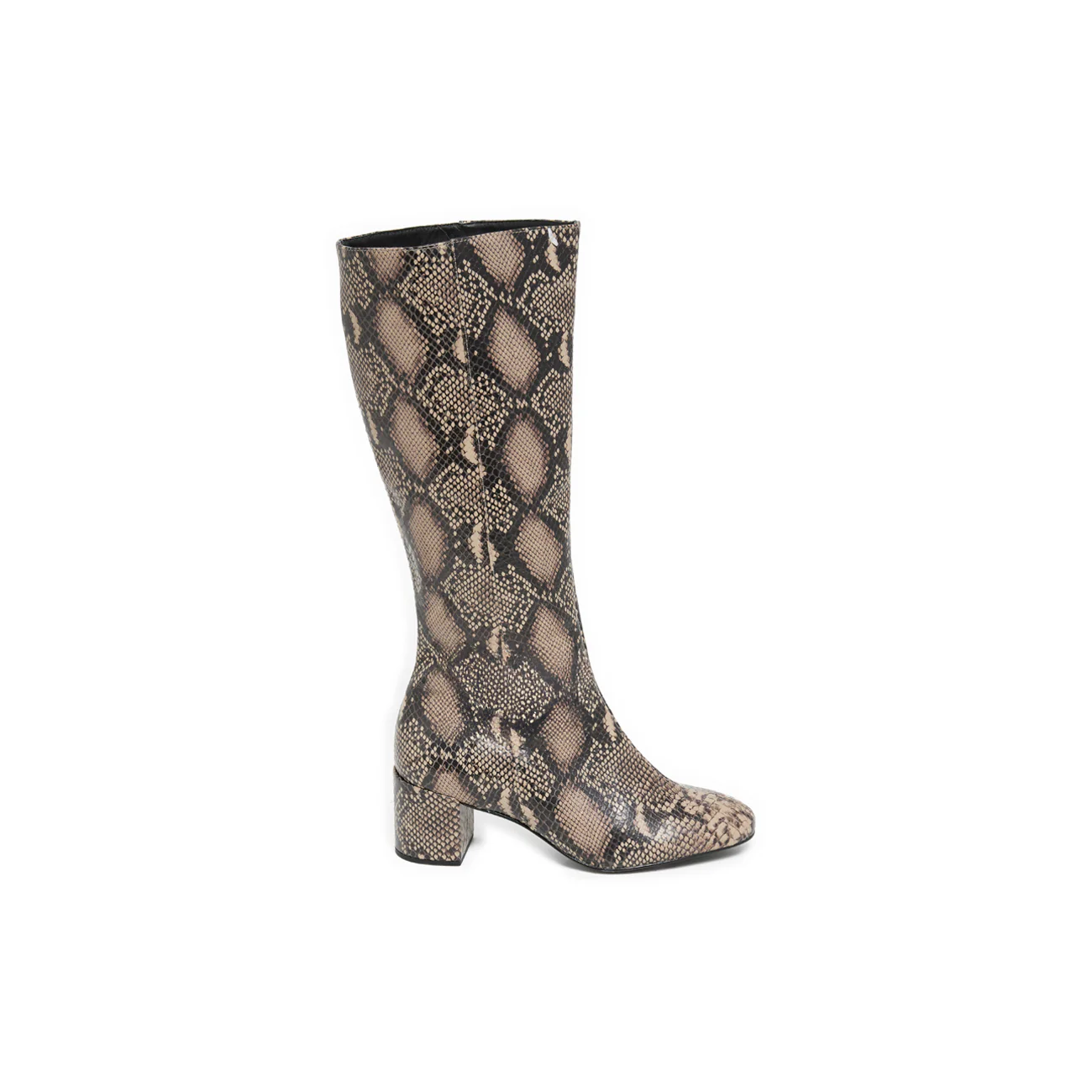 LEZIA PYTHON - Image 4