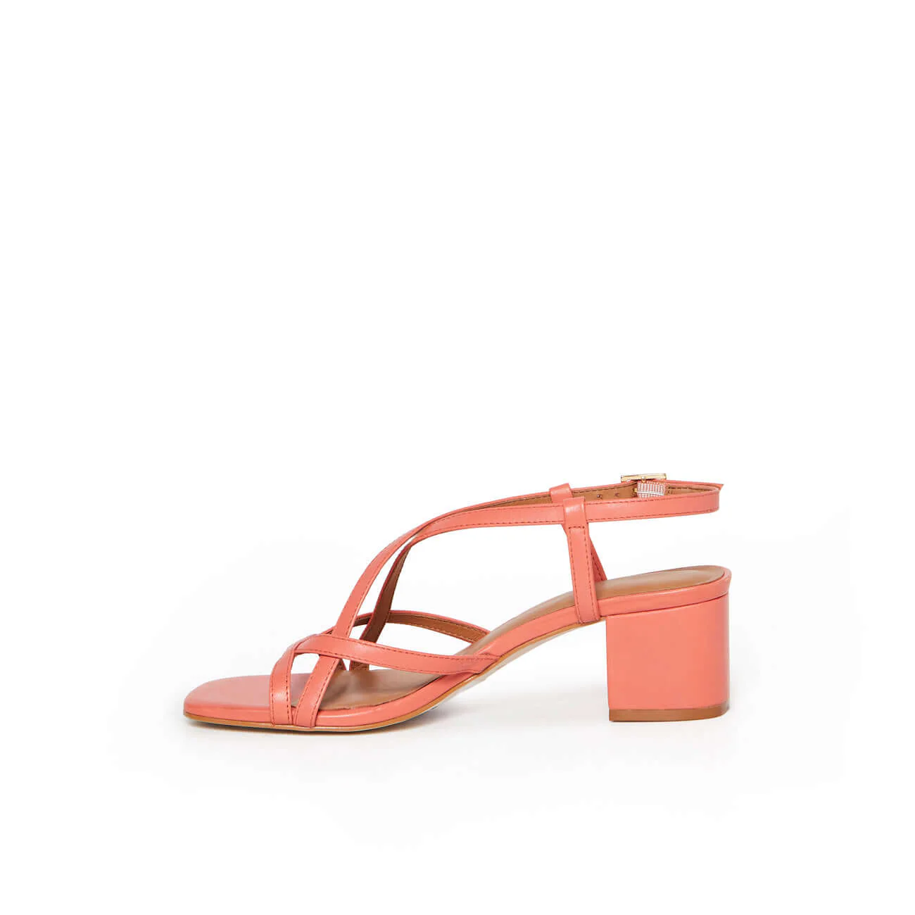 LYSIA CORAIL - Image 8