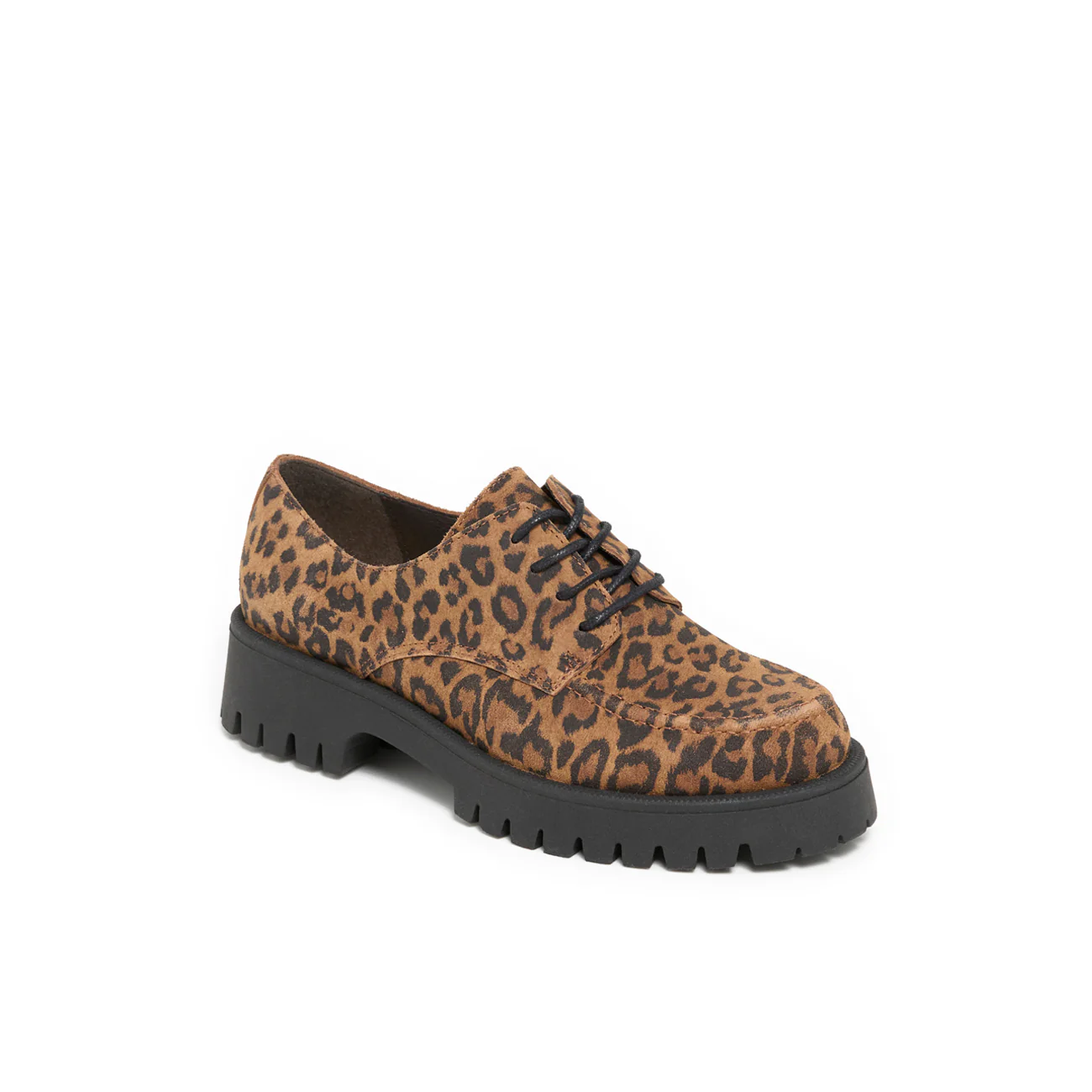 MACAO LEOPARD - Image 3