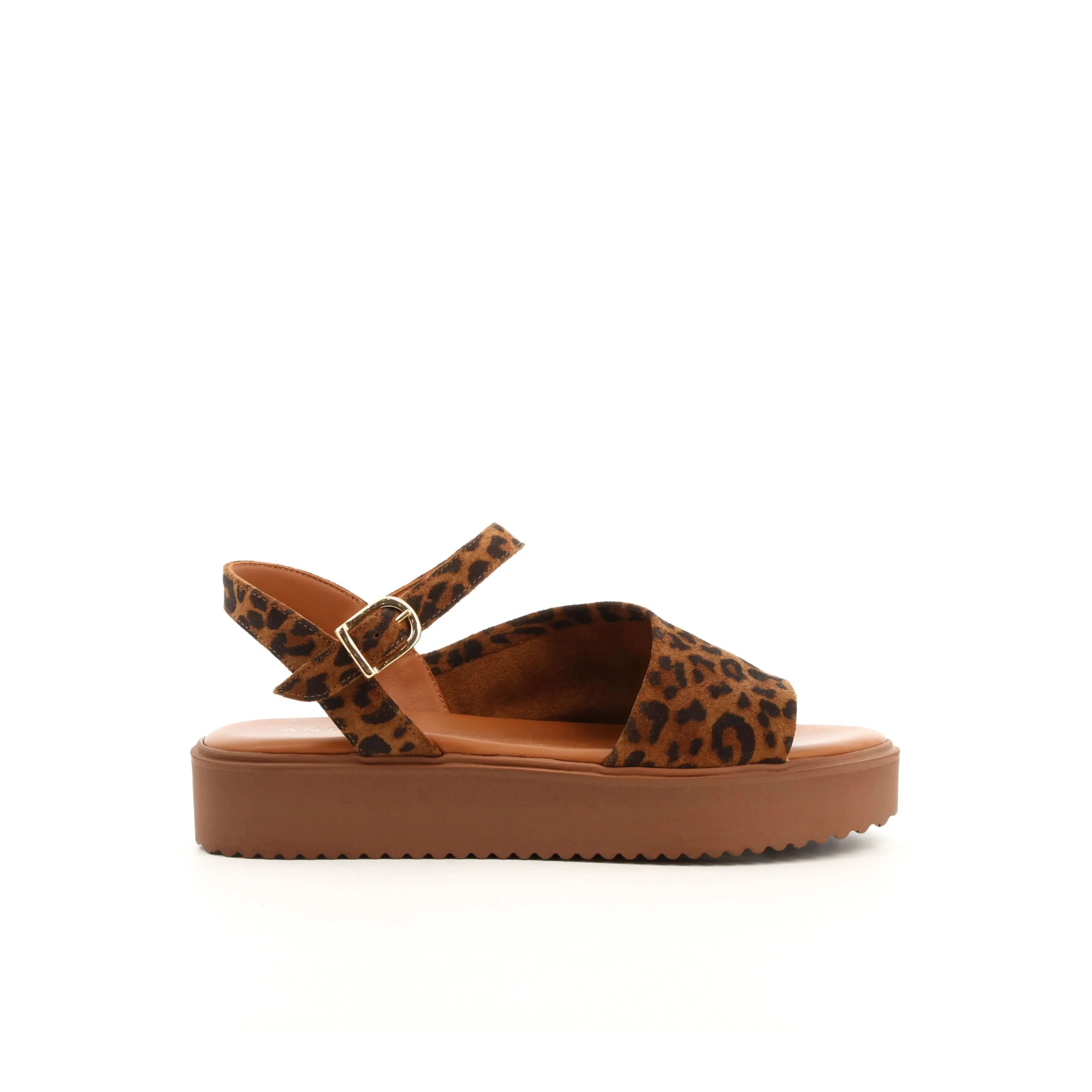 MYRTILLE LEOPARD - Image 3