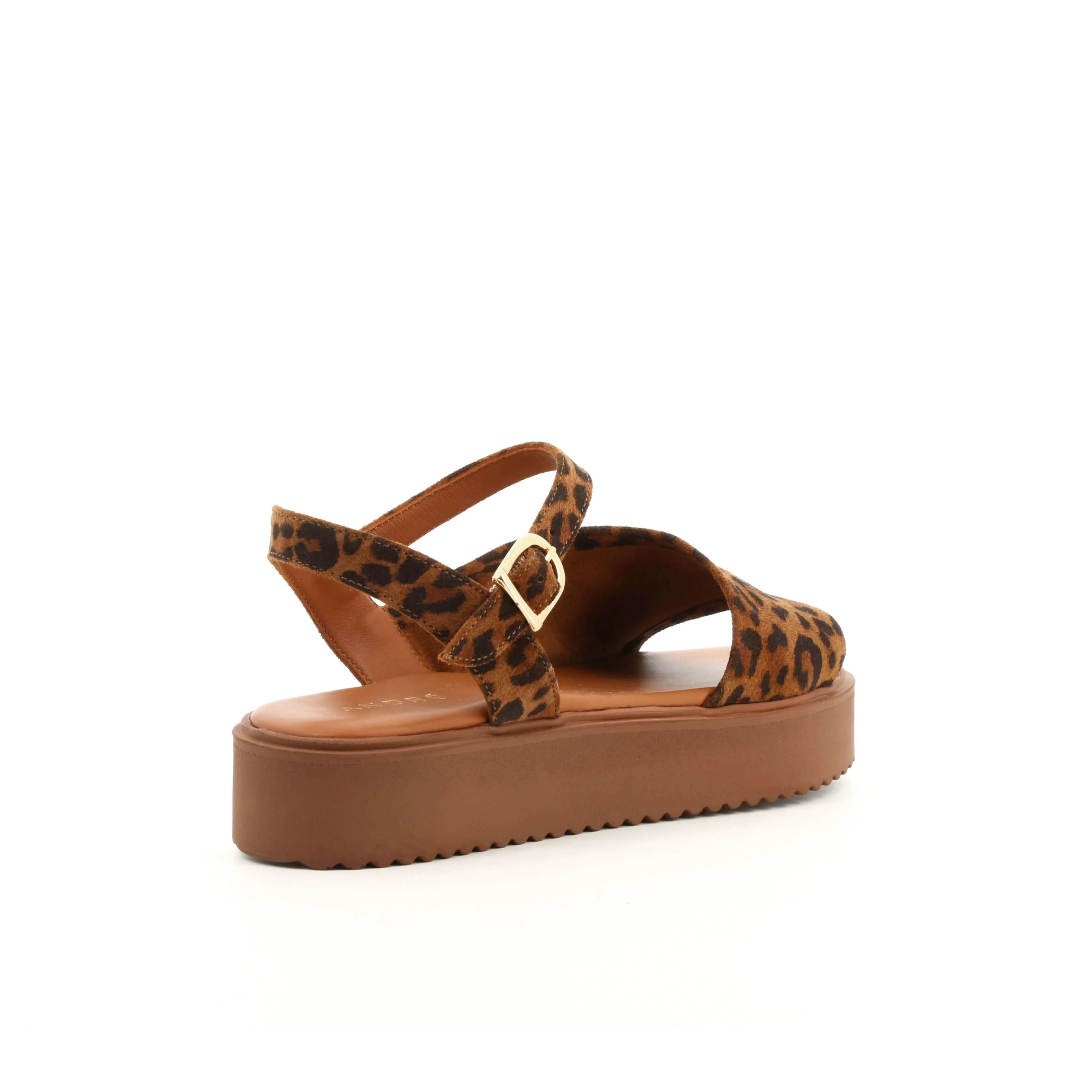 MYRTILLE LEOPARD - Image 4