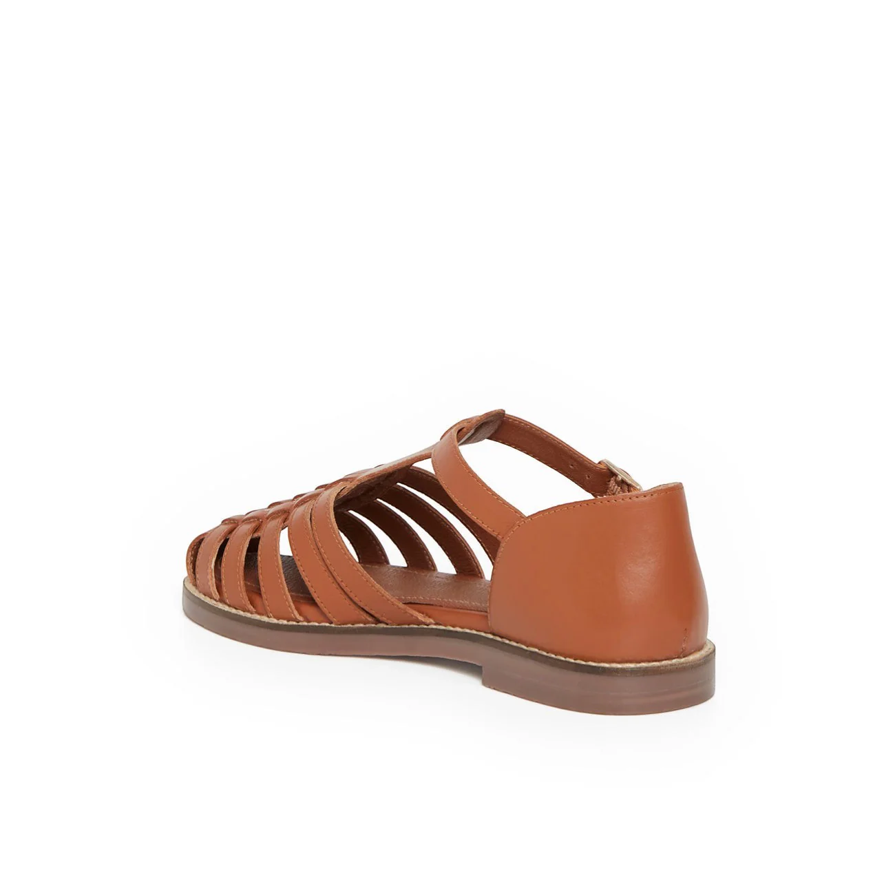 PETRONILLE CAMEL - Image 4